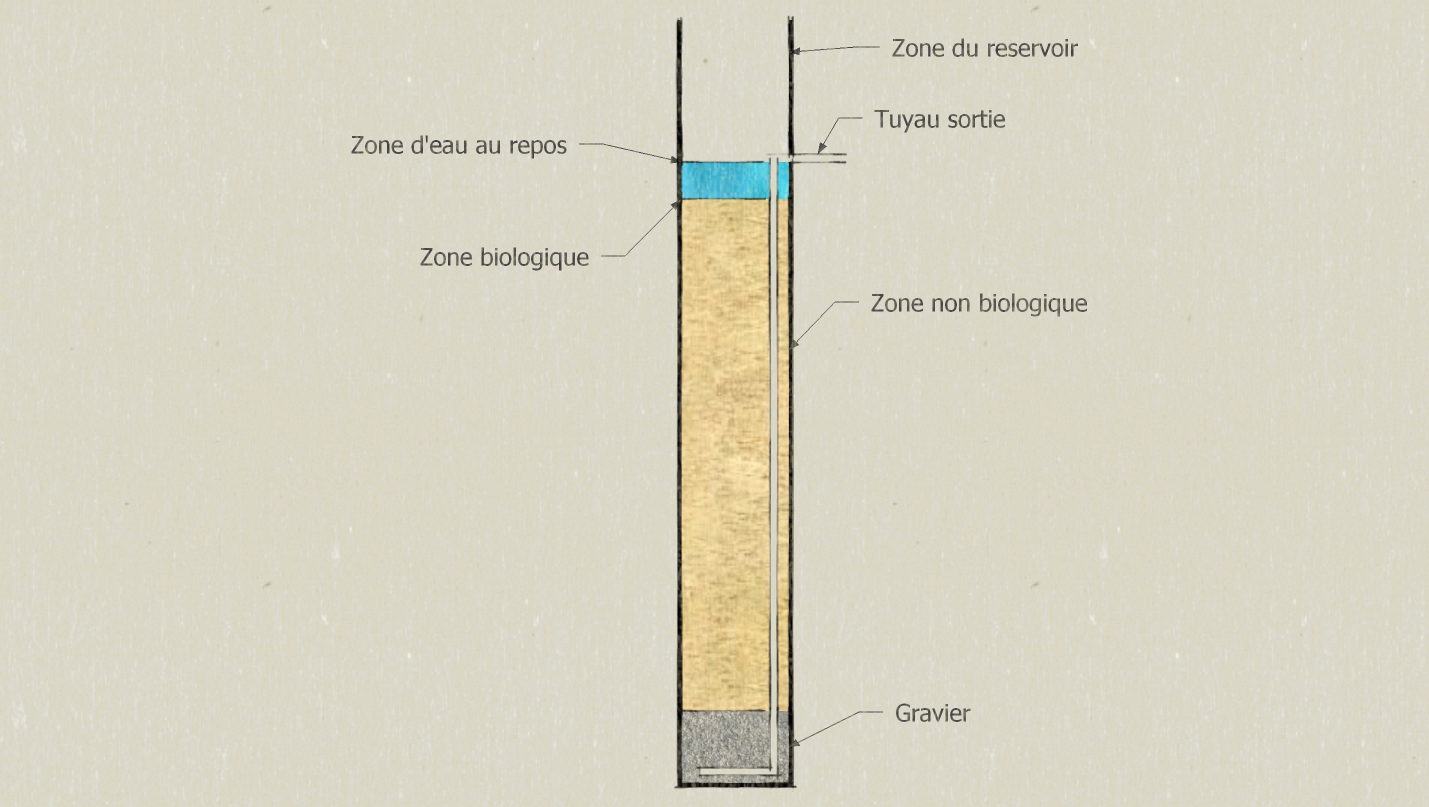 Filtre bio-sable pour eau potable schema.jpg