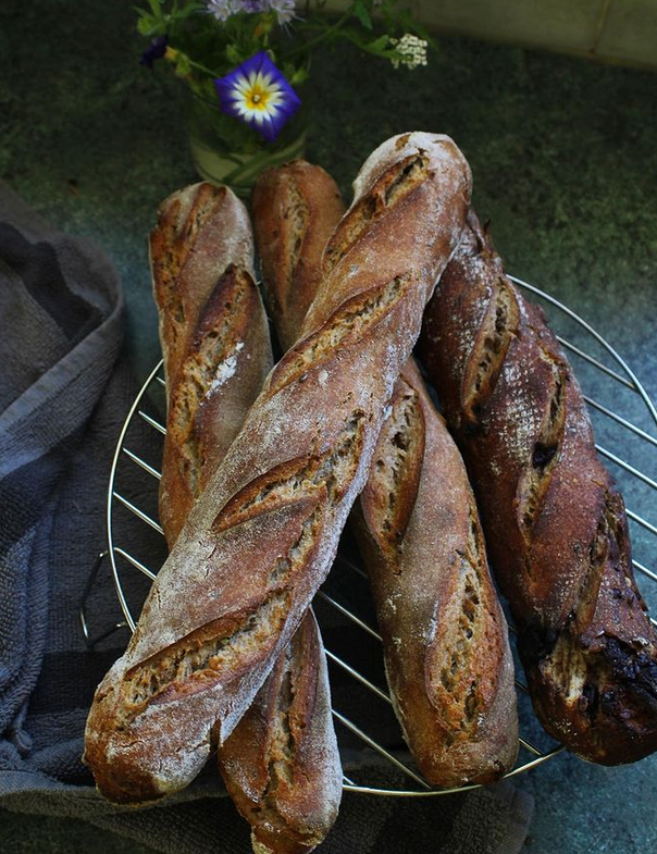 Aliments ferment s - levains et pains baguettes levain PaulineKueto.png