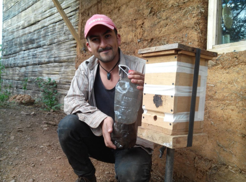 Appât pour abeilles Melipona Capture.PNG
