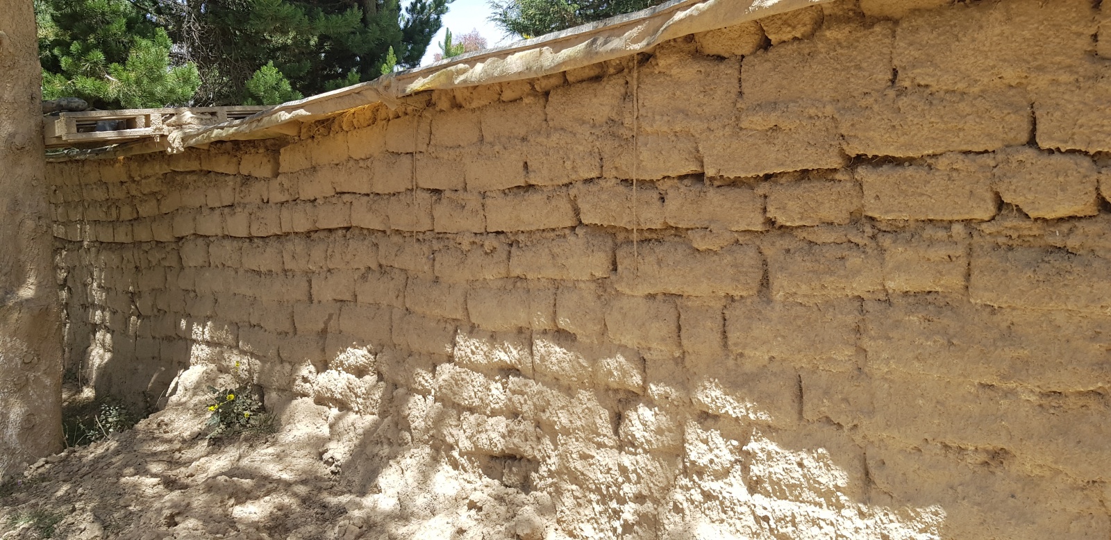 Buried Aymarian Greenhouse — Low-tech Lab