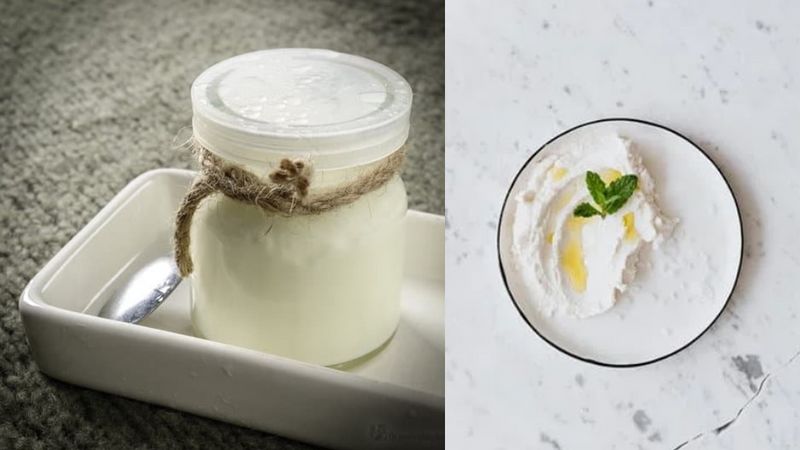Aliments ferment s - produits laitiers animaux maison yaourts.jpg
