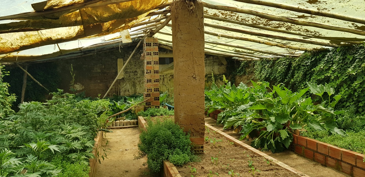 Buried Aymarian Greenhouse — Low-tech Lab