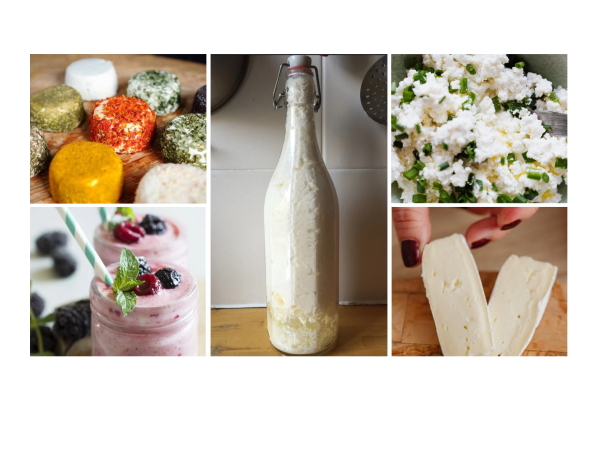 Aliments_ferment_s_-_produits_laitiers_animaux_maison_produits_laitiers.jpg